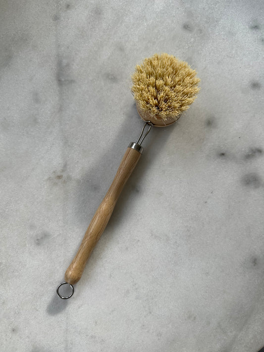 Dish Brush
