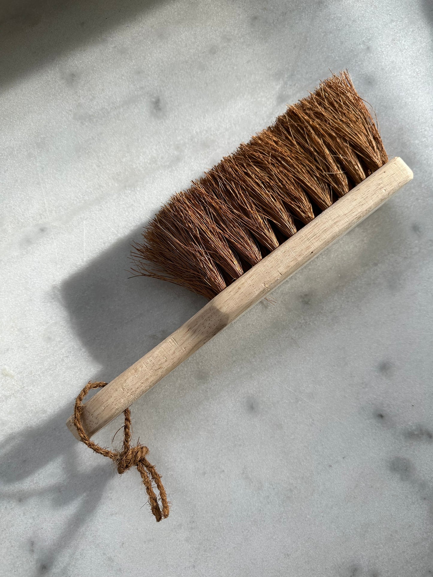 Dust Brush