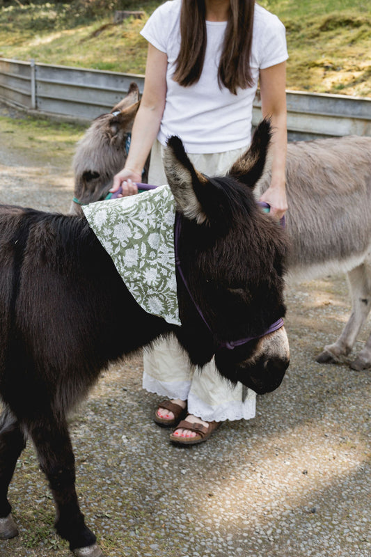 Cotton Napkins Pair - Secret Garden